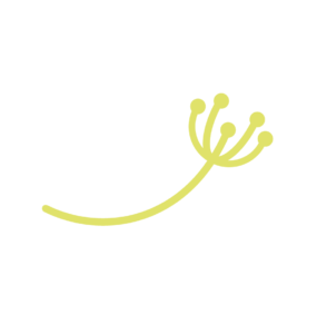 Symbole vert pep